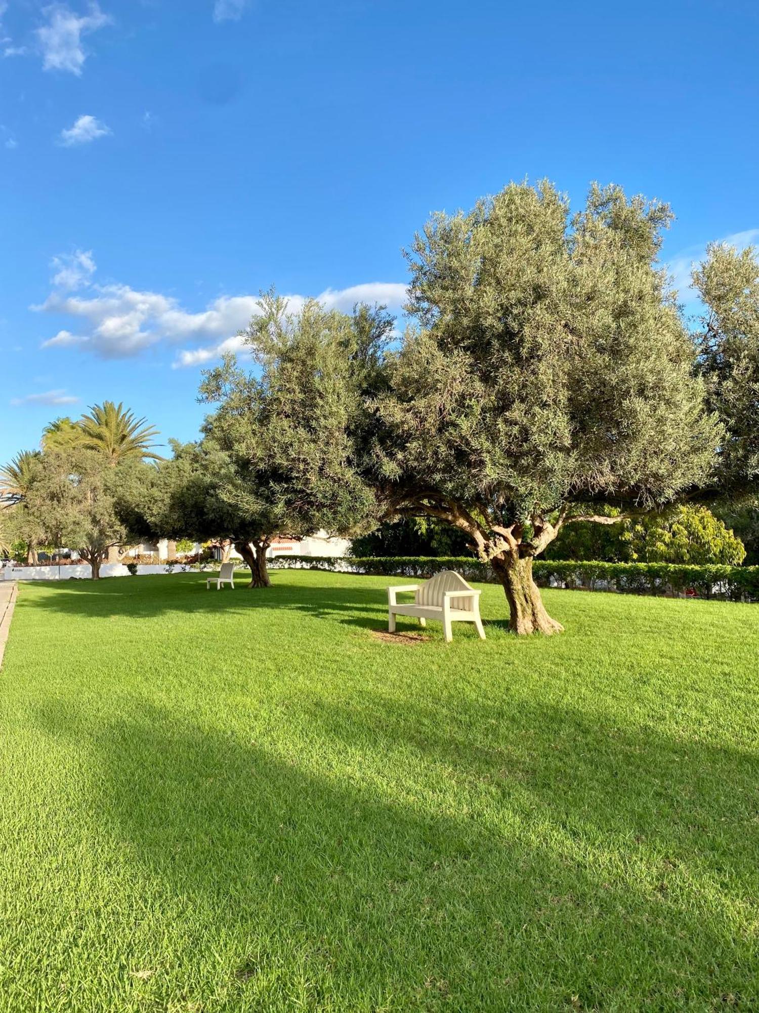 Casa Con Terraza Y Piscina En Pasito Blanco, Cerca De Maspalomas Exteriér fotografie
